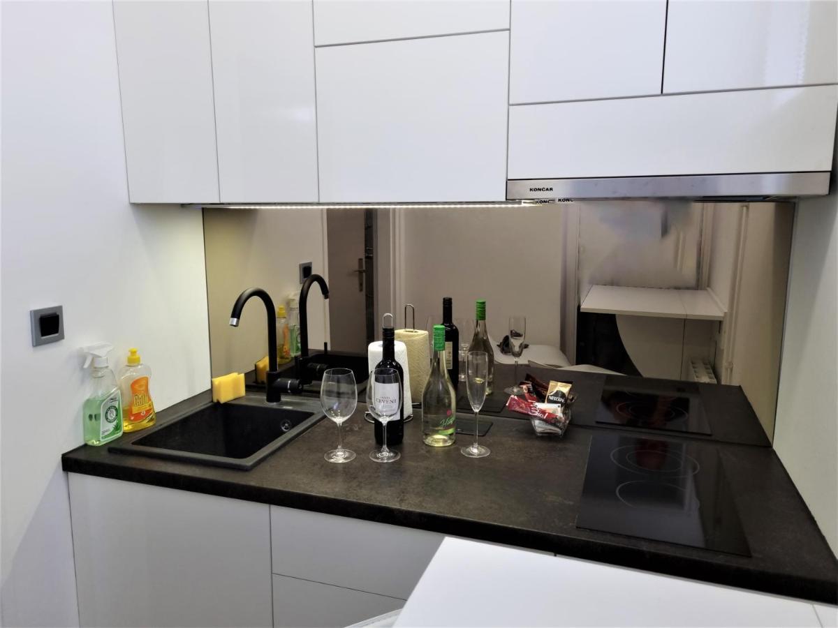 Apartment Apex Penthouse Self Check-In カルロヴァッツ エクステリア 写真