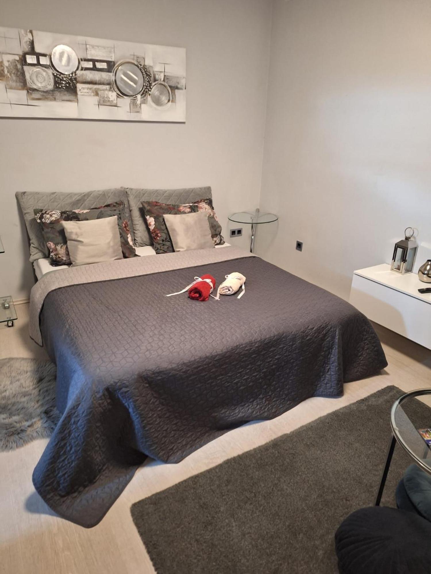 Apartment Apex Penthouse Self Check-In カルロヴァッツ エクステリア 写真