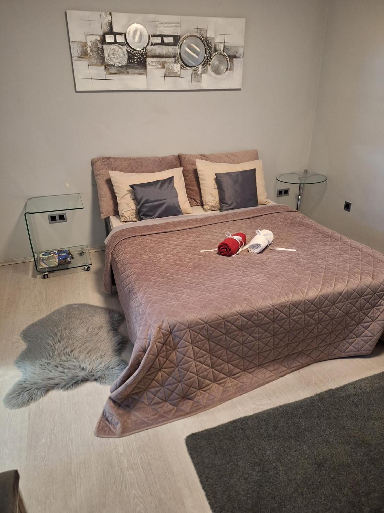 Apartment Apex Penthouse Self Check-In カルロヴァッツ エクステリア 写真